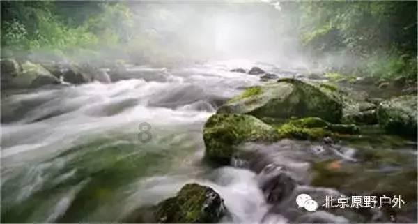龙魂时刻