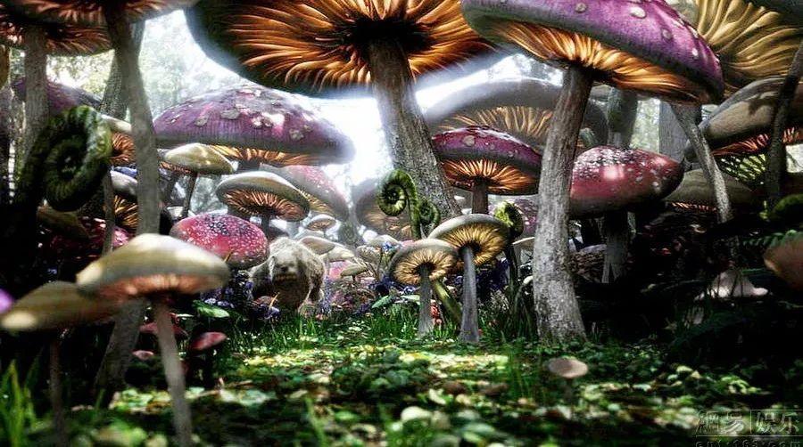 大花园植物逃生